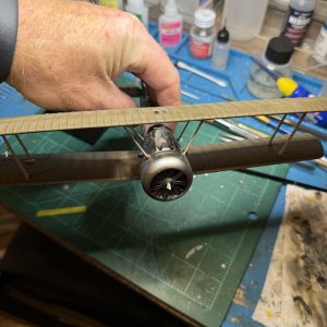 IMG_7235.jpeg