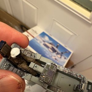IMG_4923.jpeg