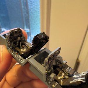 IMG_4926.jpeg