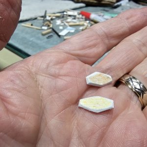 1000048476.jpg