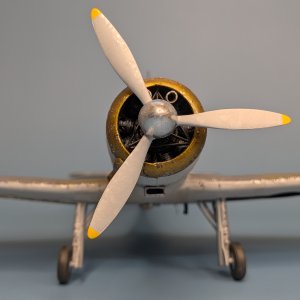 1703.jpg