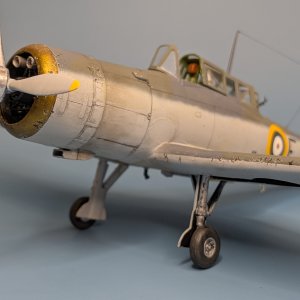 1704.jpg