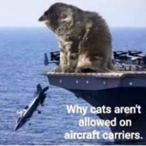 1775151102183.png