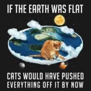 1775151178709.png