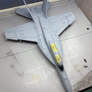 IMG_4935.jpeg