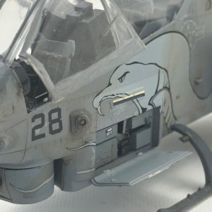 IMG_7498.jpeg