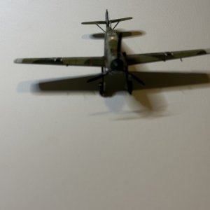 IMG_7615.jpeg