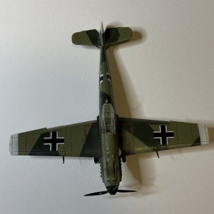 IMG_7616.jpeg