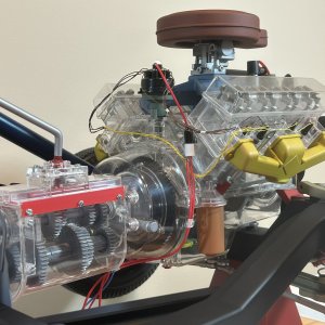 V8029y.jpg