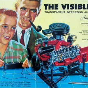 V8001a.jpg