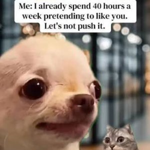 IMG_3049.jpeg