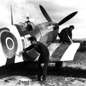 Invasion Stripes (Spitfire Mk. IX).jpg