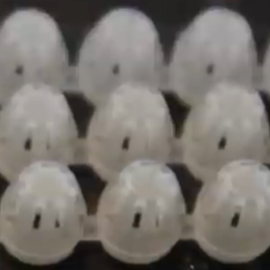 light housings.png