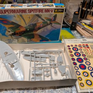 2524.jpg