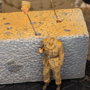 2598.jpg