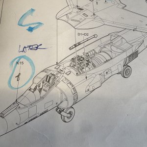 IMG_4828.jpeg