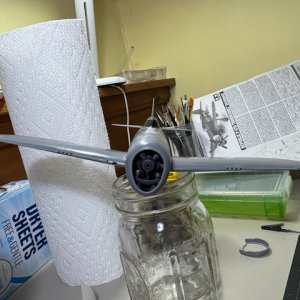 IMG_0337.jpeg