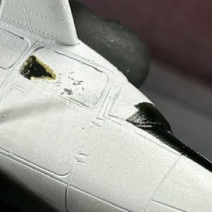 IMG_2575.jpeg