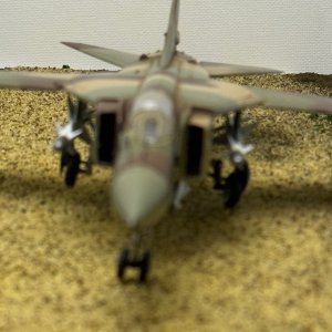 IMG_8064.jpeg