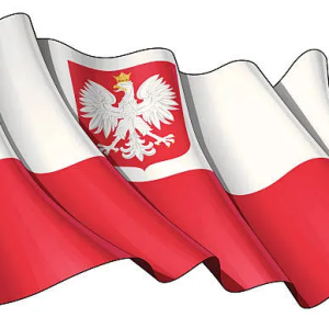 1780438959127.png