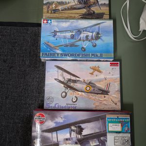 2937.jpg