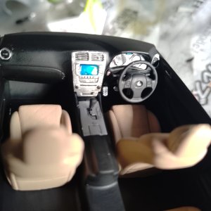 4155.jpg