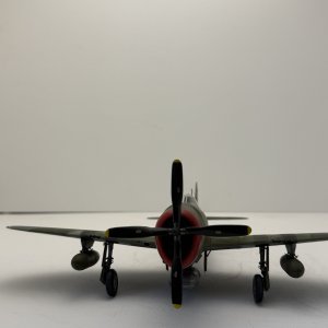 IMG_8356.jpeg