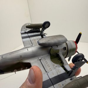 IMG_8363.jpeg