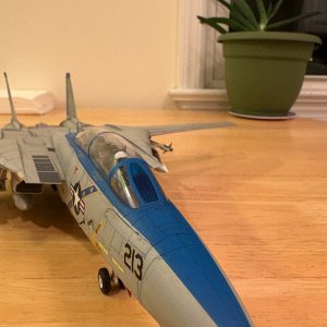 IMG_5133.jpeg