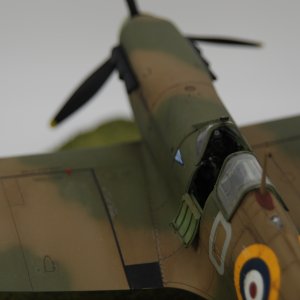 DSC_0012.JPG