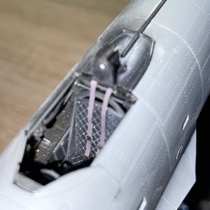 IMG_9385.jpeg