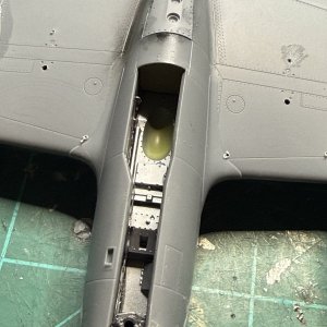 IMG_8767.jpeg