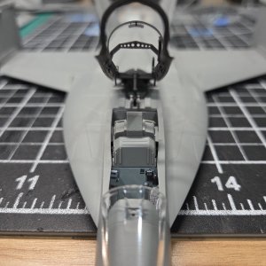 6799.jpg