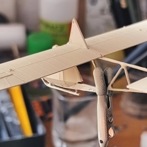 10183.jpg