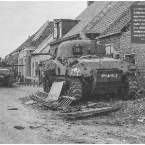 Crabs T148656 & Dandy Dinmont.jpeg