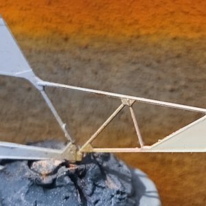 10604.jpg