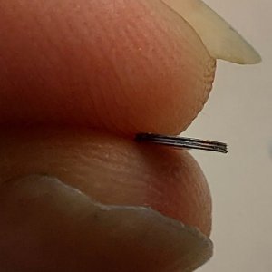 20260721_204919.jpg