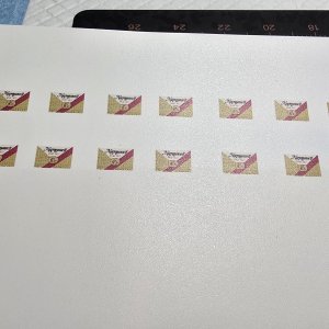 1000011251.jpg