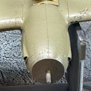 IMG_8971.jpeg