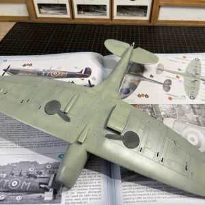 IMG_9487.webp