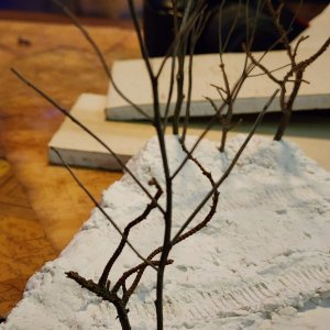 20230325_200636.jpg