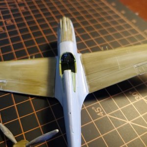 P40_1.jpg