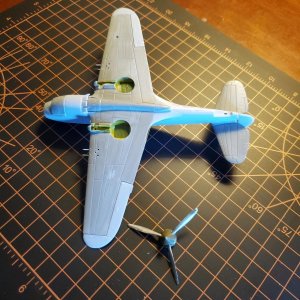P40_2.jpg