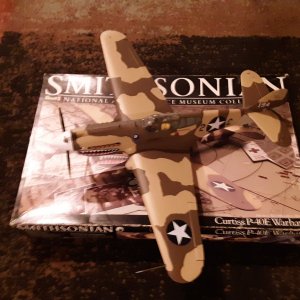 P-40E (2).jpg
