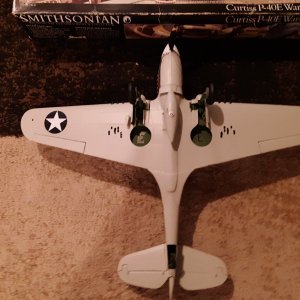 P-40E (5).jpg